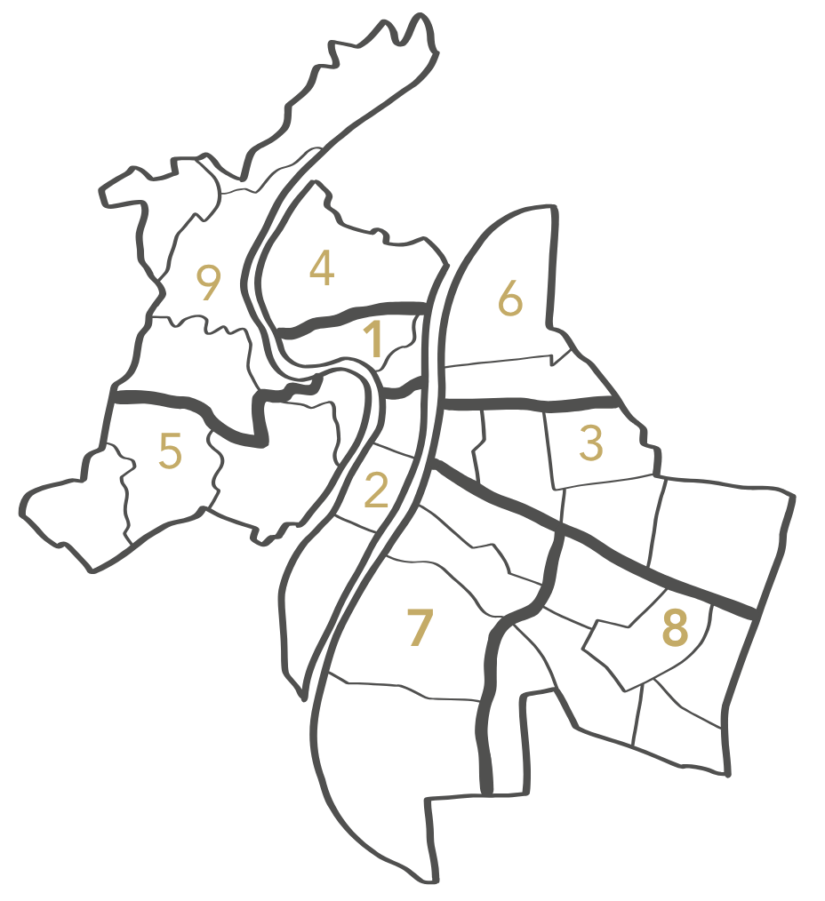 Carte arrondissements Lyon article FONTANEL IMMOBILIER investir immobilier Lyon